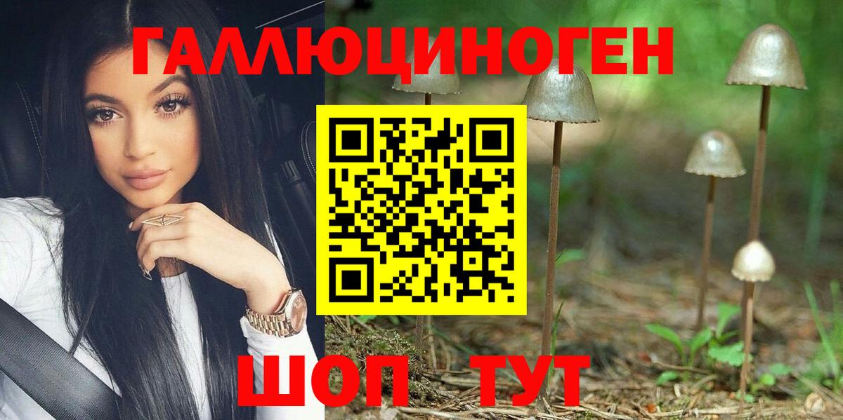 Галлюциногенные грибы MAGIC MUSHROOMS  Вход с VPN  Мирный 